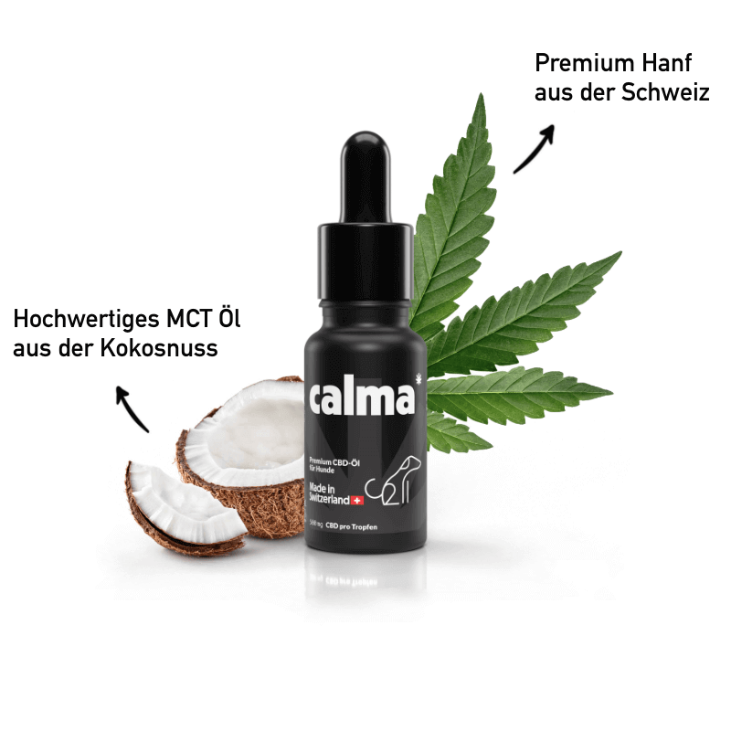 CBD Öl für Hunde 🐶