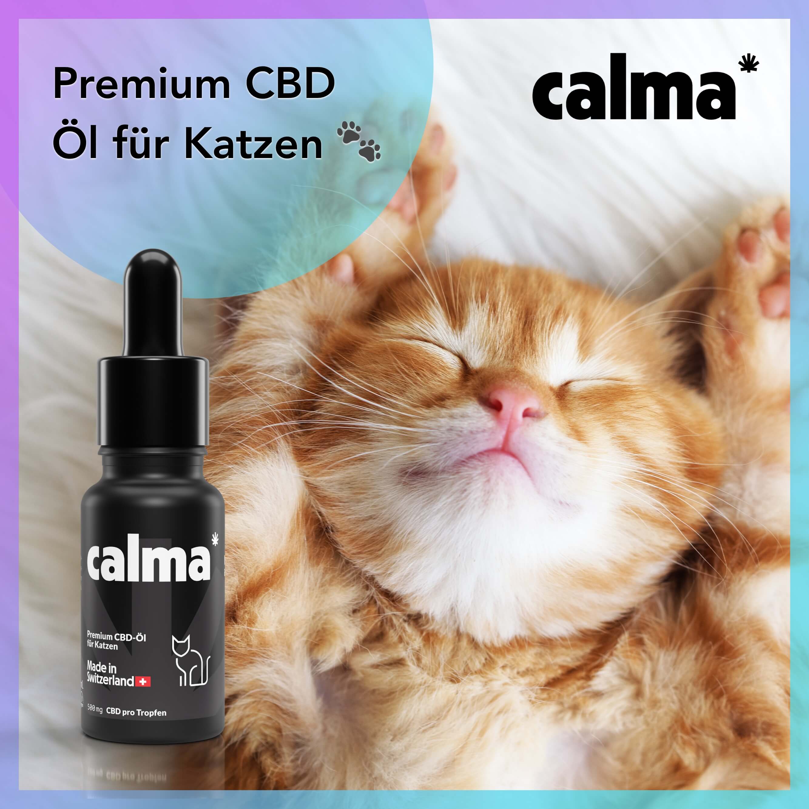 Olio CBD per gatti 🐱