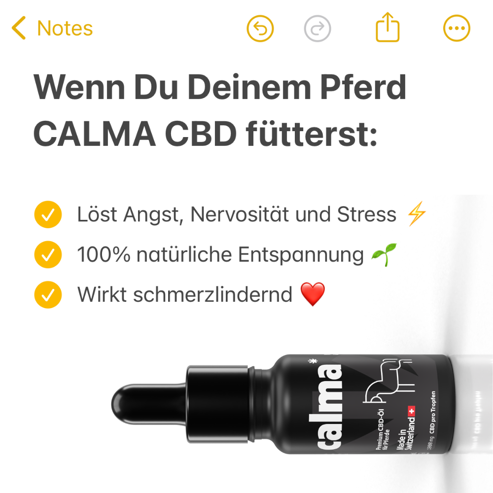 CBD Öl für Pferde 🐴